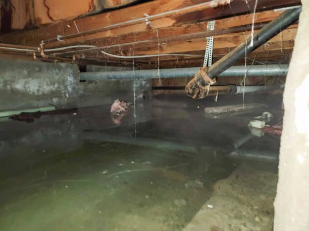 Water damage restoration experts in Jordan, NY