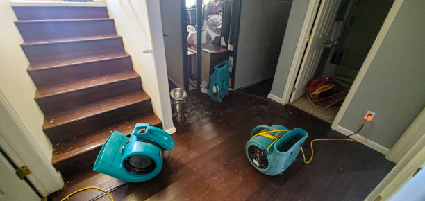 Best Commercial water damage restoration  in Jordan, NY