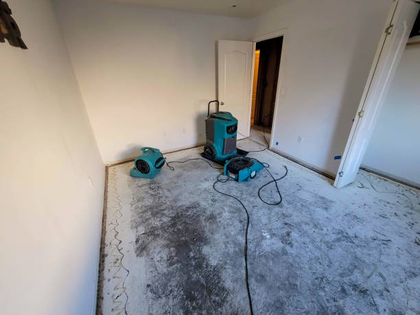 Best Water damage cleanup near me  in Jordan, NY