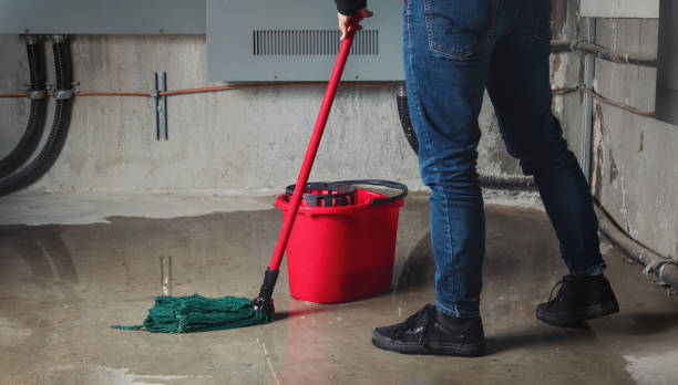 Best Residential water damage restoration  in Jordan, NY