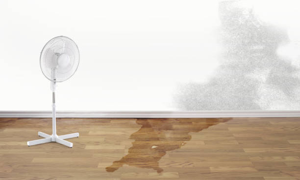 Best 24/7 water damage repair  in Jordan, NY