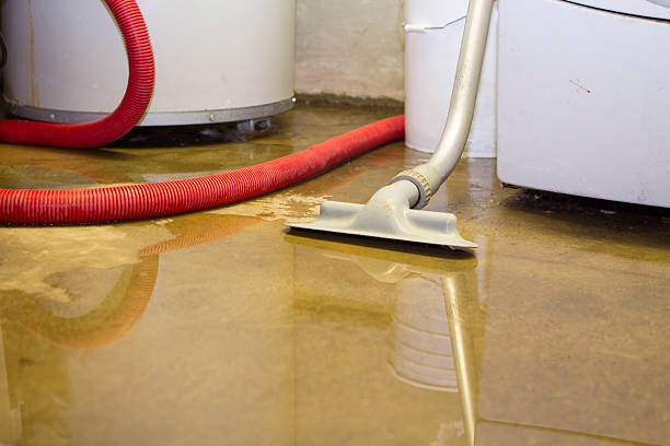 Best Fire Damage Restoration  in Jordan, NY
