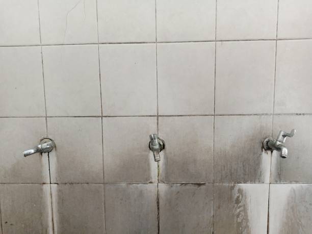 Best 24-hour water damage restoration  in Jordan, NY