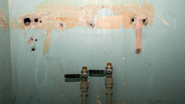 Best Water damage cleanup near me  in Jordan, NY