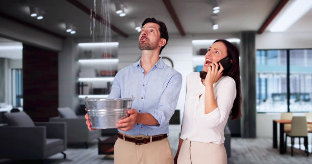 Best Basement water damage restoration  in Jordan, NY