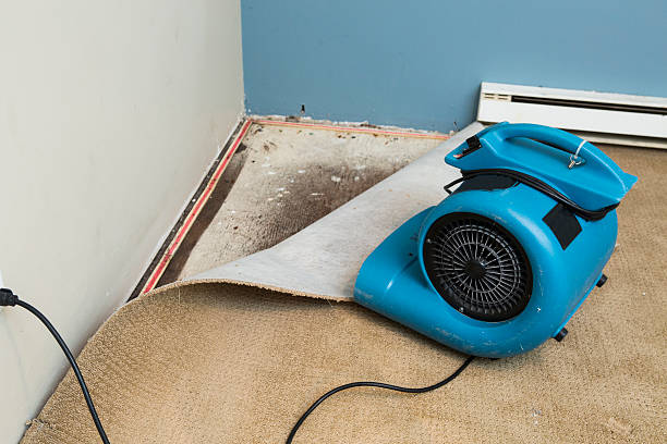 Best Sewage cleanup and water damage restoration  in Jordan, NY